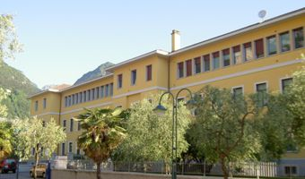 Liceo "Andrea Maffei" in sintesi